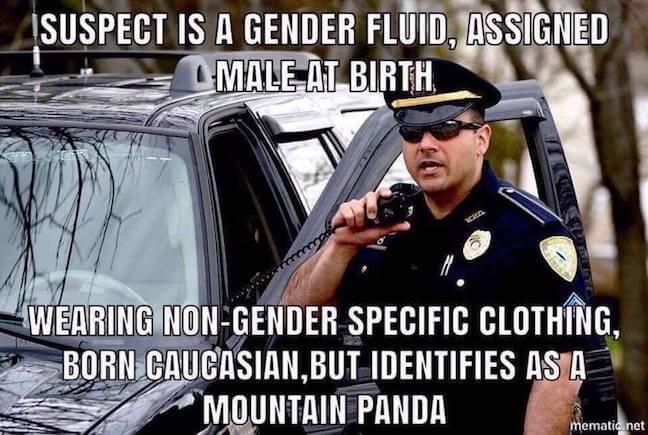 Category: Police Meme This cop gets mad respect for trying to respect today's gender guidelines. Respecting people's pronouns is all the rage. Though, it makes things slightly more confusing when you're trying to describe a criminal.