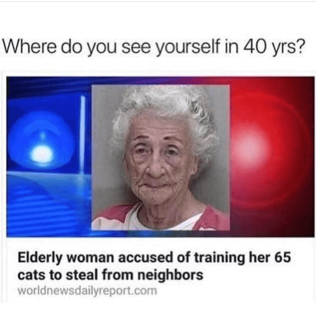 Category: Mugshot Jail Meme  This meme has it all. It has internet cats and elderly people. How could you not like it? Honestly, it gives me major flashbacks to the Cravendale: "Cats With Thumbs" Superbowl Commercial from 2011...