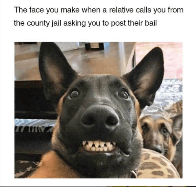 51+ Jail Memes and Prison Memes Reviewed [2022 Edition] Healing Law