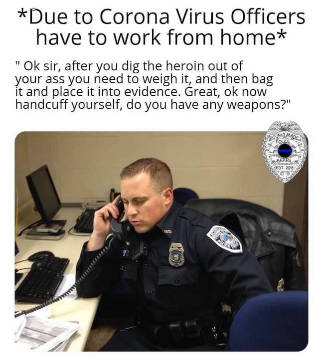 Category: Effective Cop Meme Look, this meme is relevant. It's revolutionary. It's got everything you want to see in a meme. It even has a nice procedure format for other officers to follow when they're working from home.