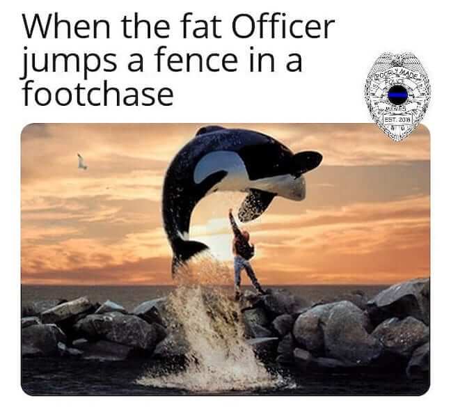 Category: Officer Meme Really? We're reduced to fat shaming? Shamu! *Clears throat* Excuse me, I mean: Shame on you!