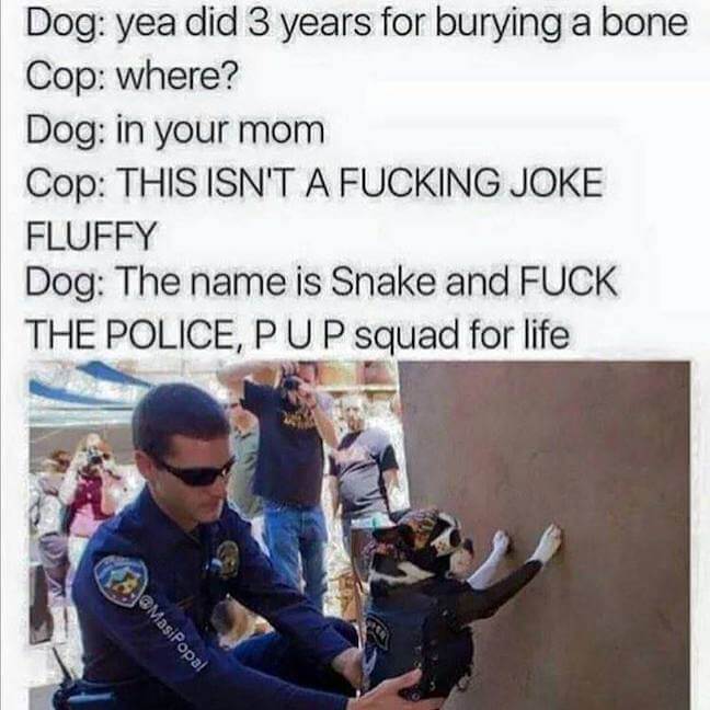 Category: PUP Squad 4 Lyfe PoliceMeme This doggo is a straight savage. And his name is Fluffy. I want to be friends with Fluffy.