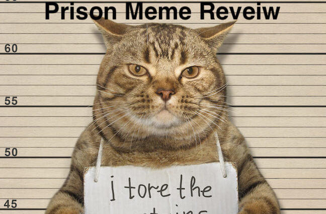 50 Jail Memes And Prison Memes Reviewed 2020 Edition Healing Law