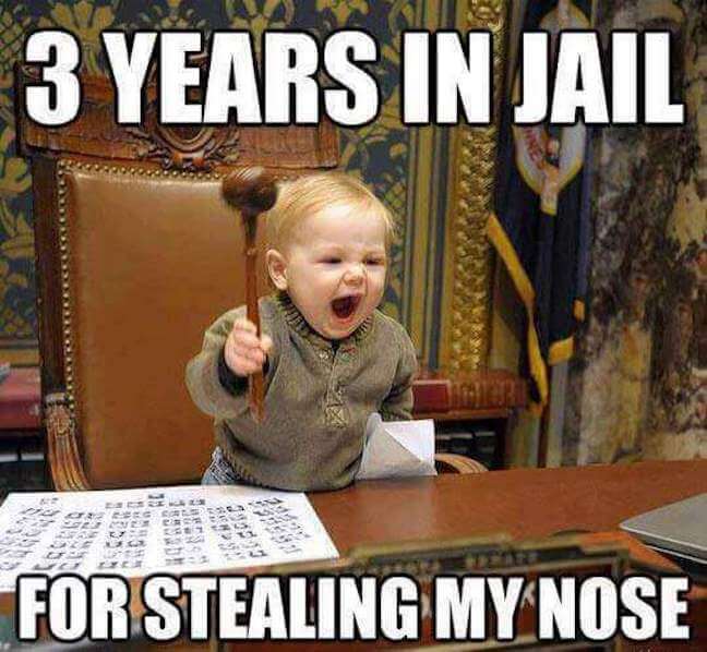 Category: Jail Meme Look, we have all wanted to see justice come to all of the nose thieves in the world, and we finally get to see it happen in this meme! Although I think 3 years is a bit light. As featured in out Courtroom meme review.