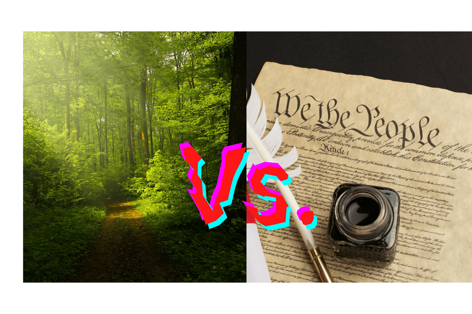 Natural Rights Vs Human Rights Which is more popular? Natural Rights or Constitutional Rights ...